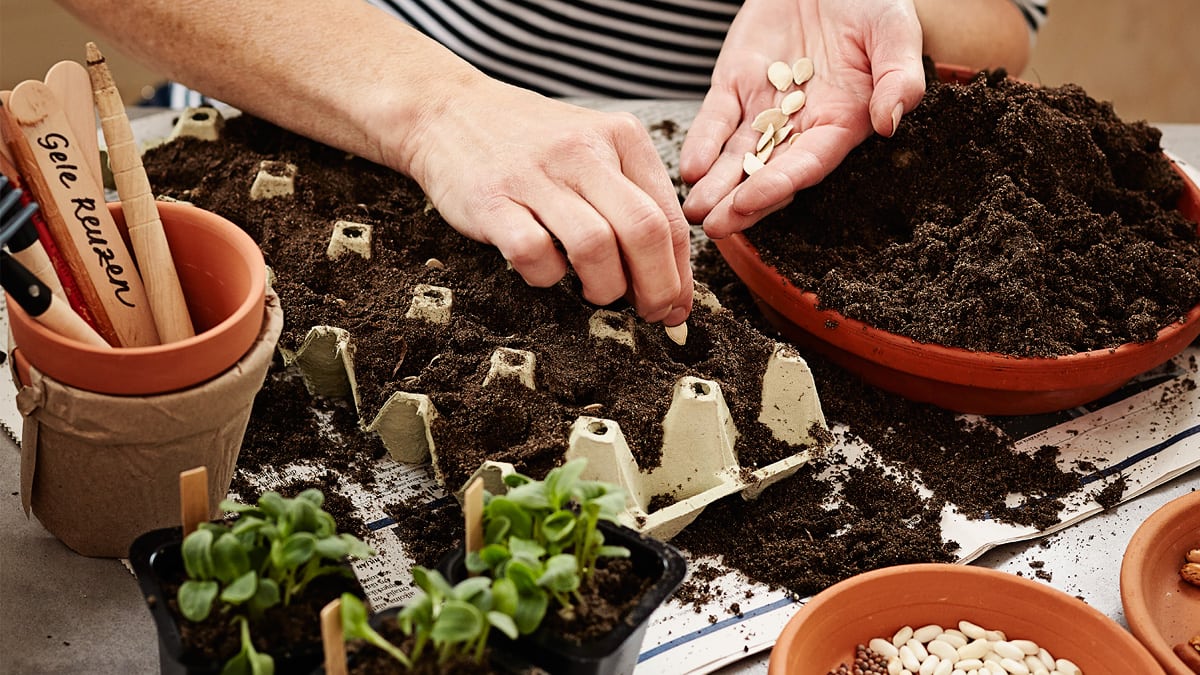 Miksi erillistä kylvömultaa tarvitaan?