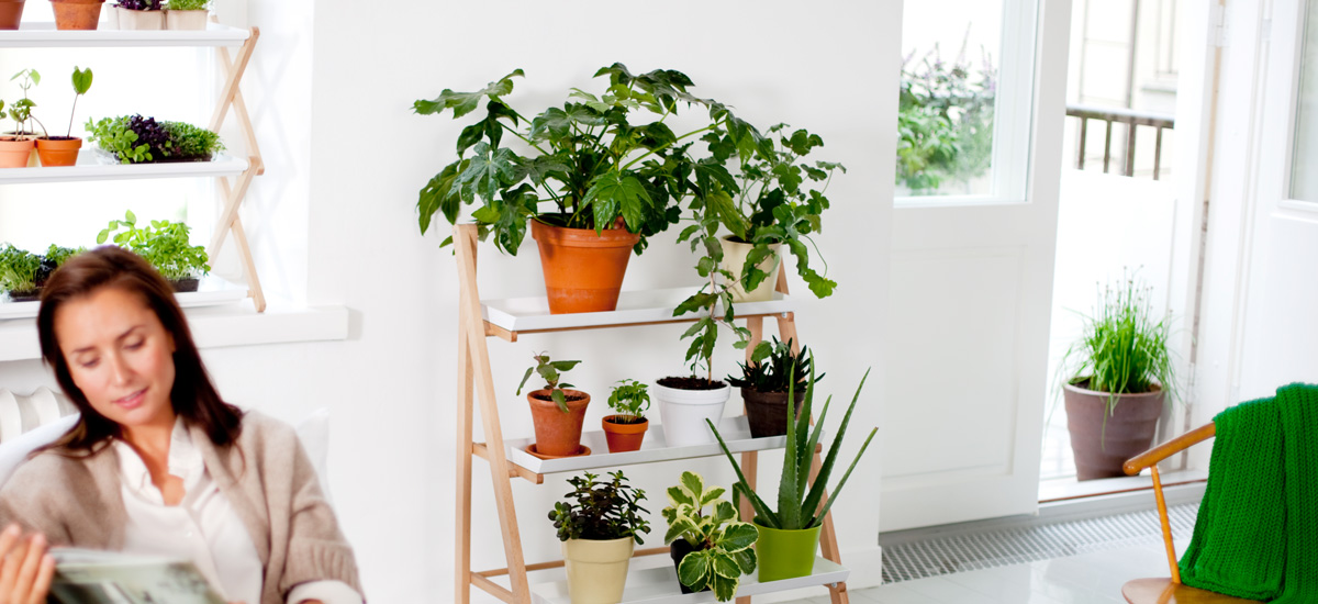 Sisusta koti vihreäksi