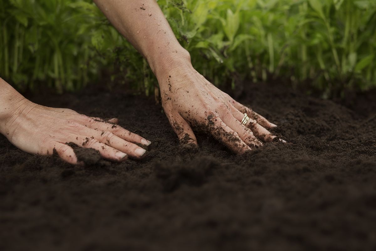 Hyvän mullan ominaisuudet