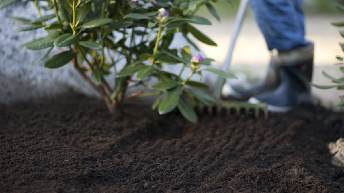 Happaman maan kasvien lannoittaminen