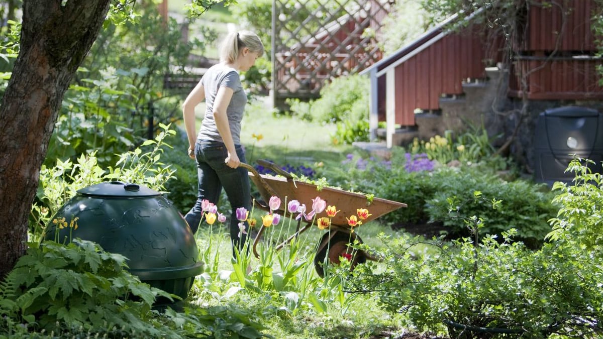Näin käytät valmista kompostia puutarhassa