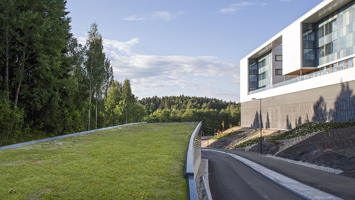 Tuhansien taimien työmaa