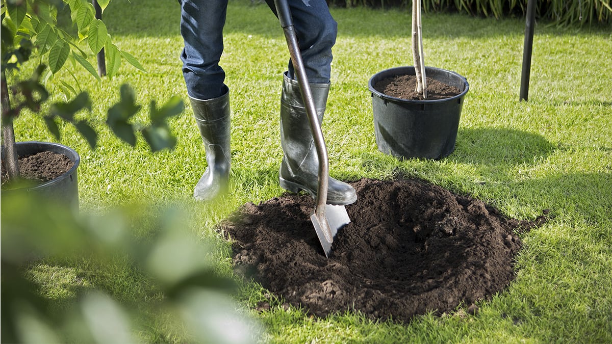 Viisi syytä miksi viisas istuttaa syksyllä