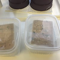 Siementen lauttaidätys Kekkkilä