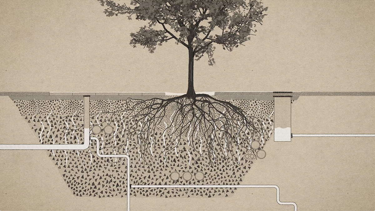 Hulevesien hallinta: Läpäisevä kasvualustarakenne