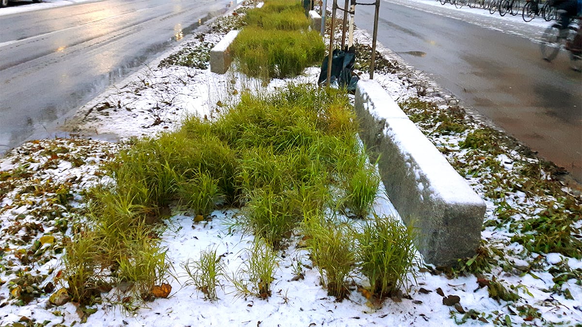 Kekkilä Läpäisevä kasvualusta