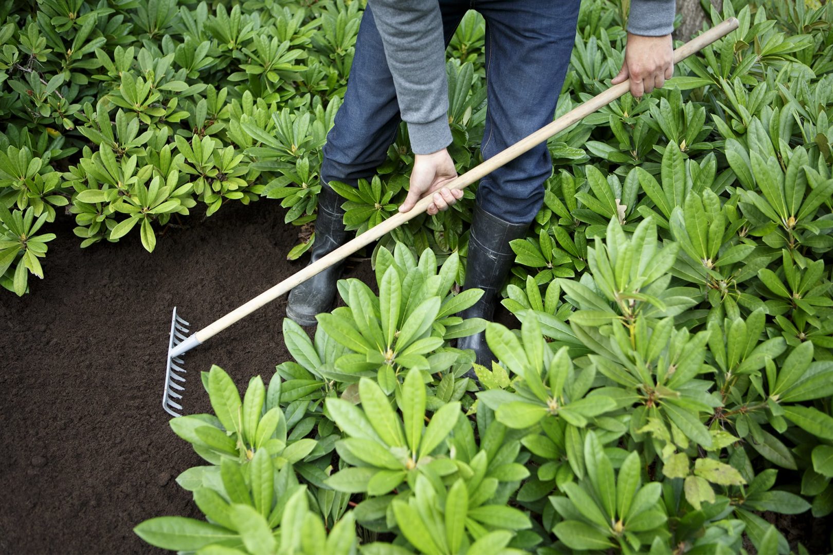 Taloyhtiön pihatalkoot