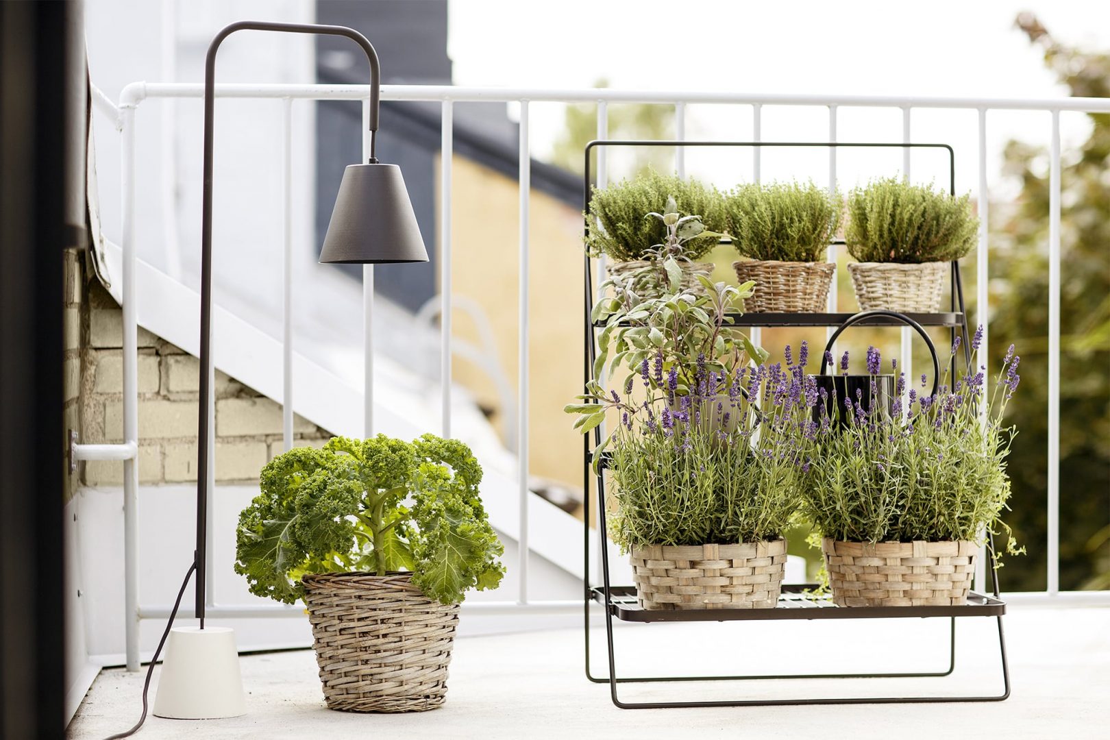 Tuoksuva välimerellinen ruukkupuutarha parvekkeella