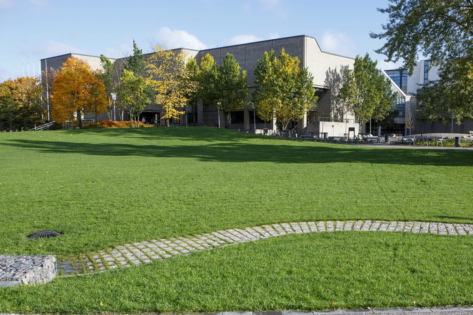 Kirjastopuisto rakentui hyvällä yhteistyöllä ja etuajassa