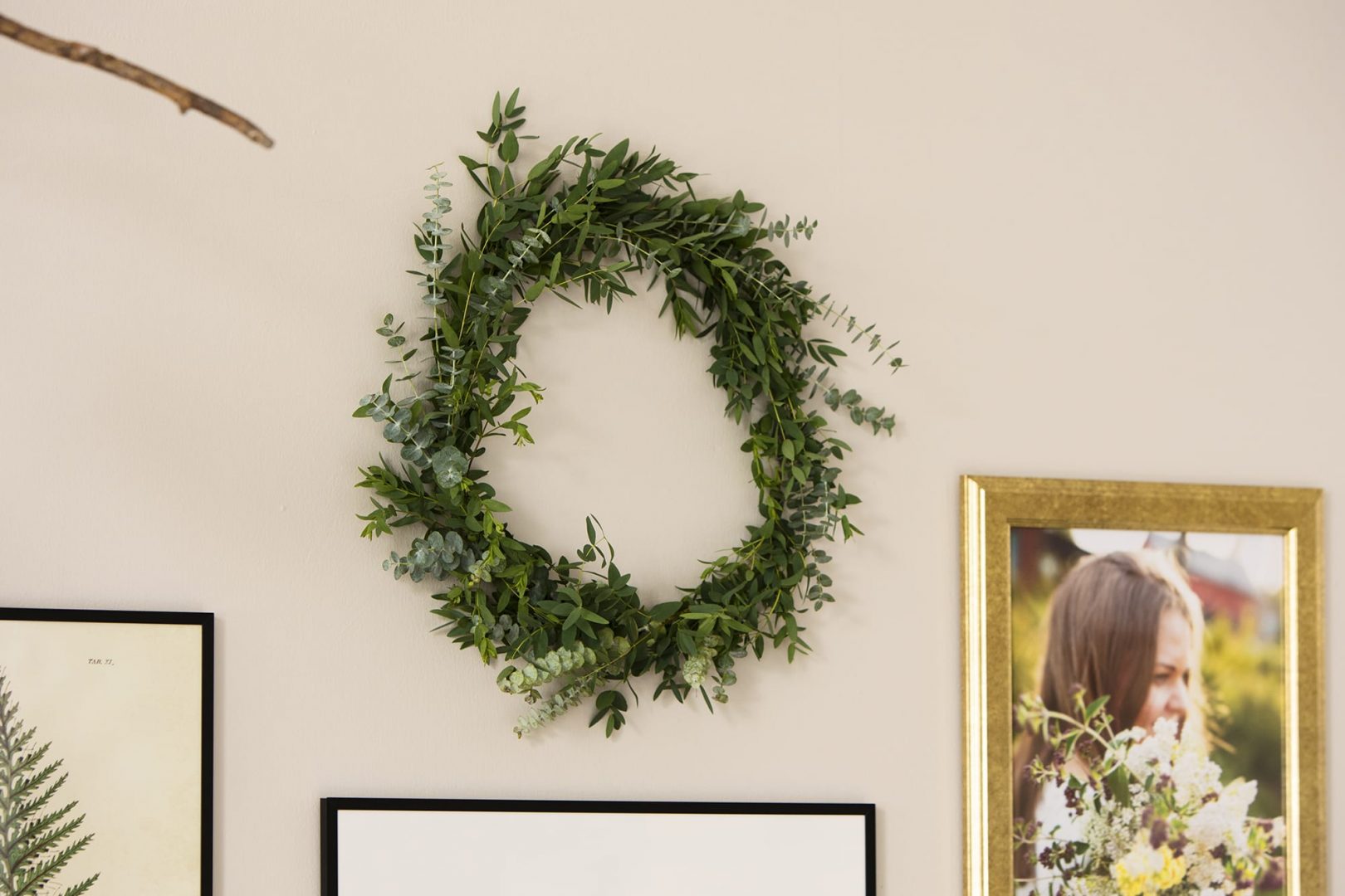 Näin syntyy trendikäs kranssi eukalyptuksesta tai marjaoksista