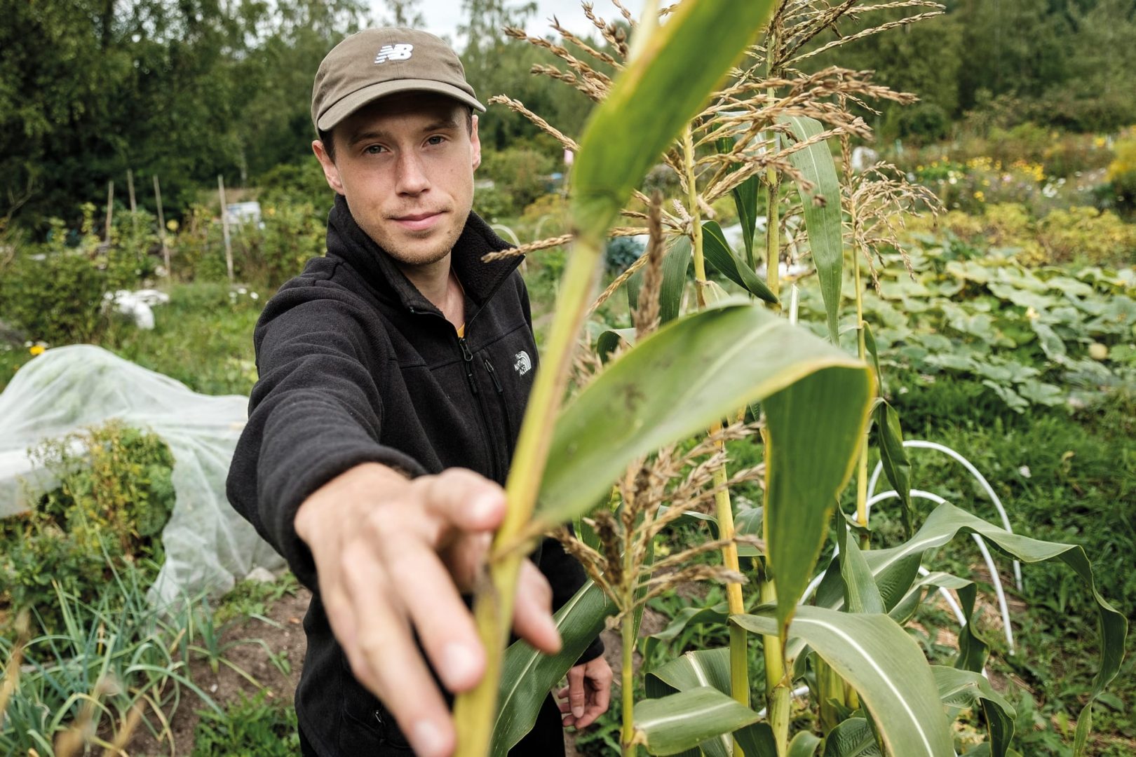 Milleniaalit kiinnostuivat kasveista ja niiden viljelystä