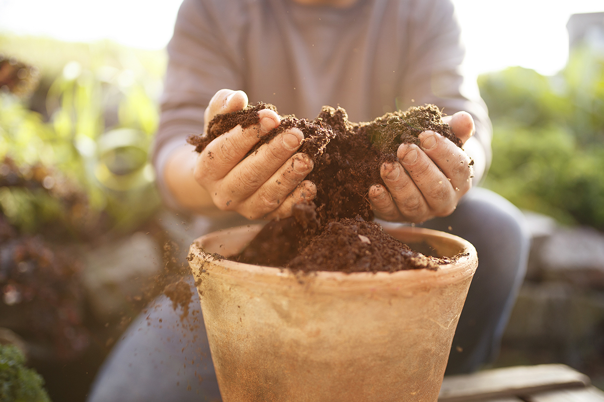 Mullan uudet ihmeaineet