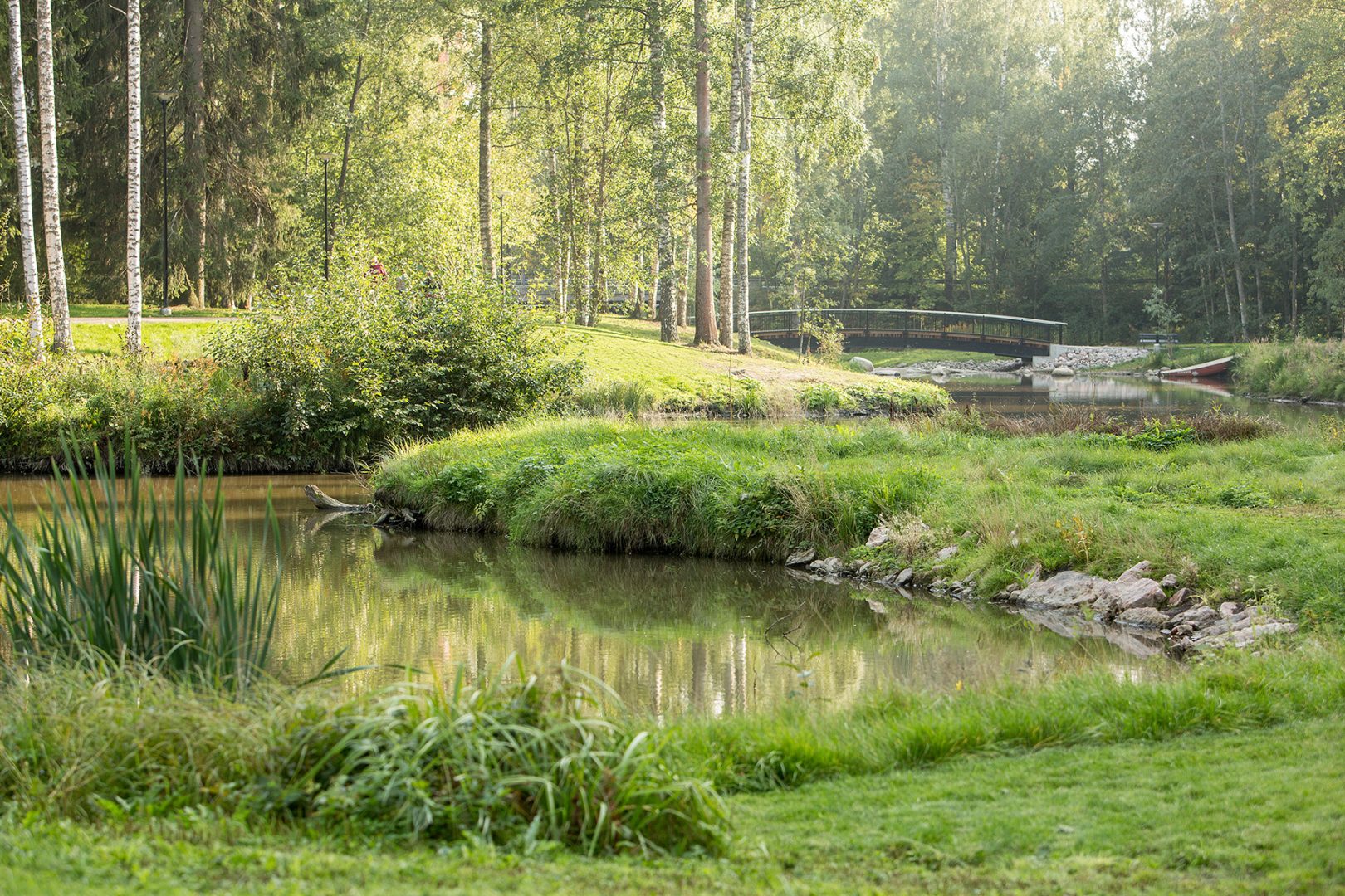 Ankkapuiston paikalla tehtävät kasvualustat