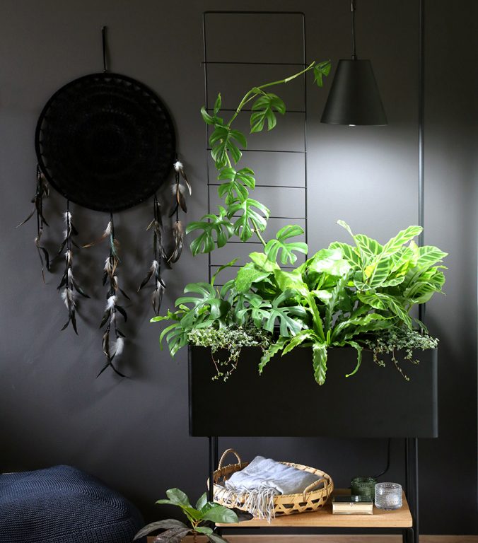 Houseplant_grow_light_Finland_880x100px