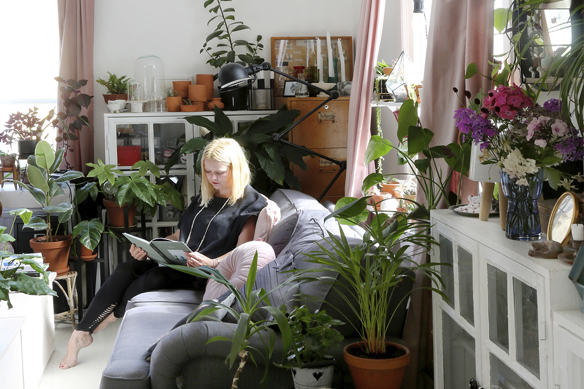 Kaupunkikodin ikkunalla vihertää