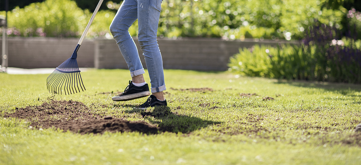 Näin saat nurmikon kasvamaan paremmin