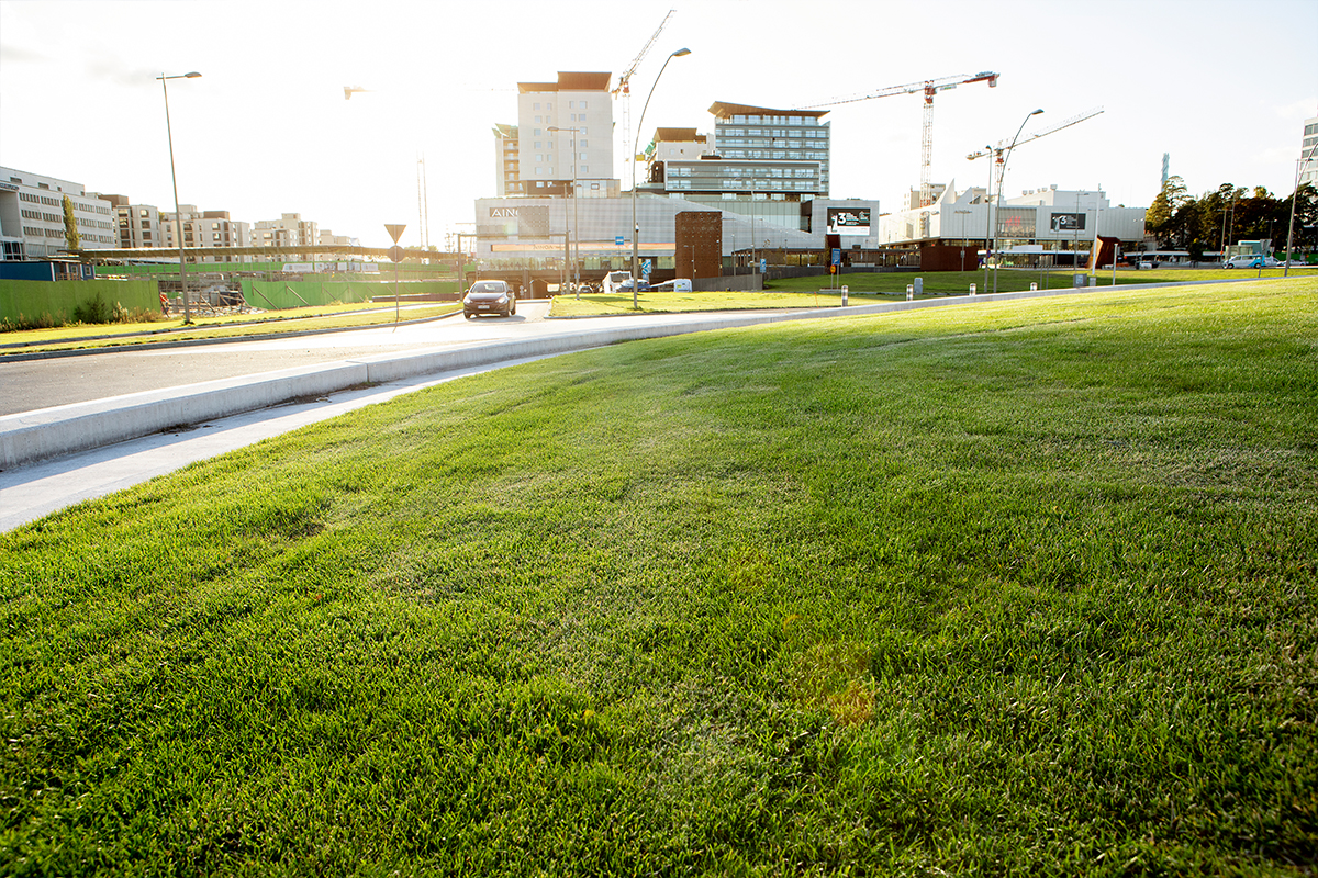 Puutarhakaupunkiin viihtyisät kattopuutarhat