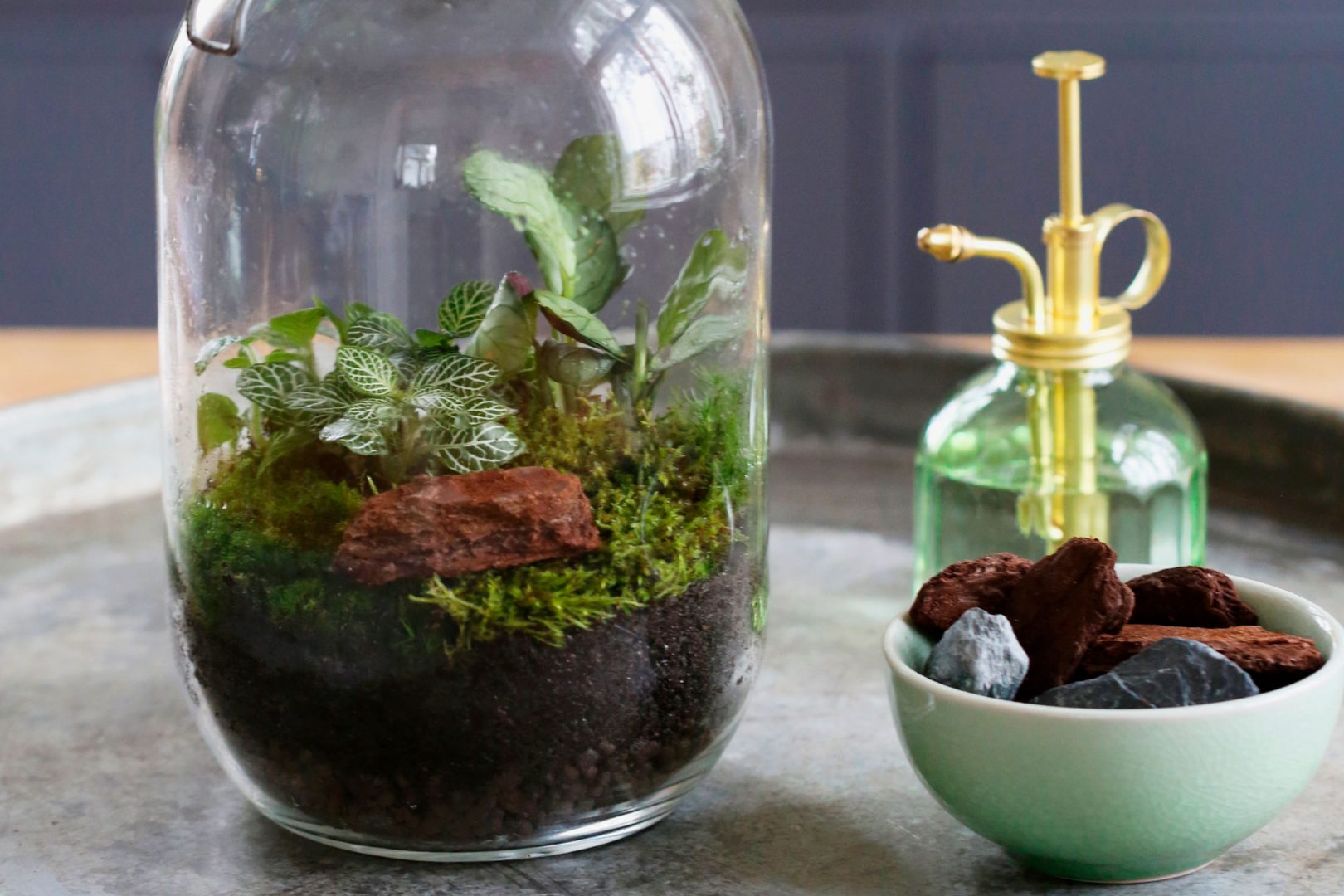 Sademetsä pöydällä – Suljetut terraariot