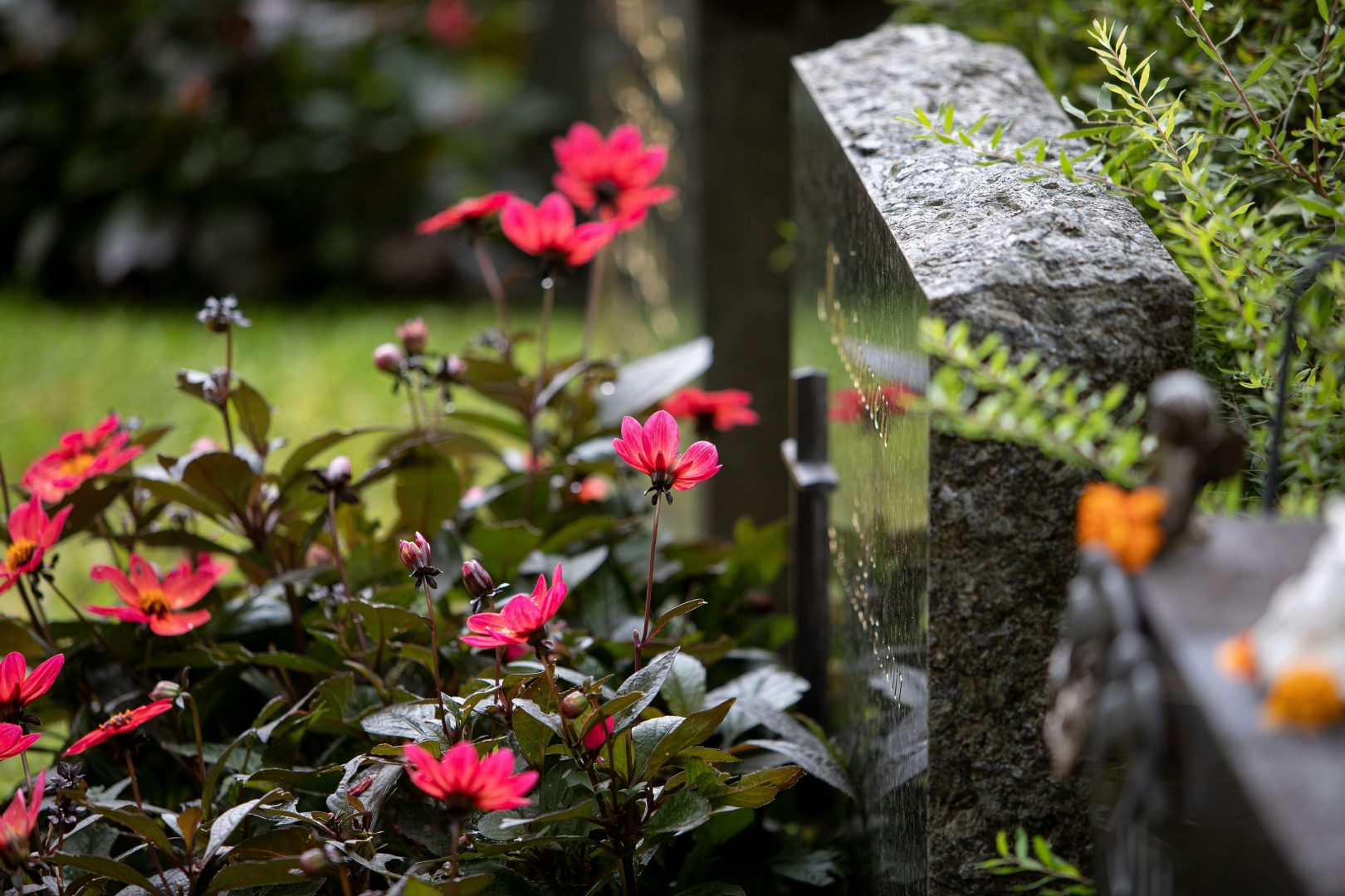Kesäkukkamulta helpottaa hautojen hoitoa