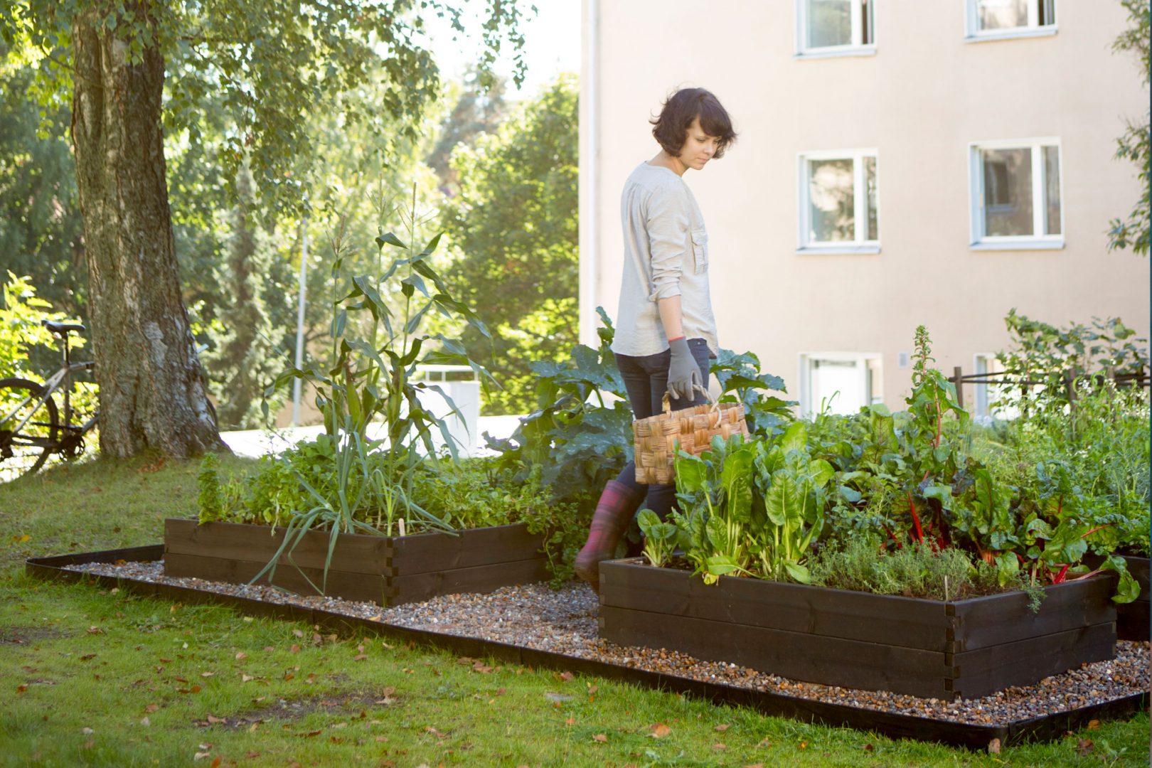 Kasvimaiden paluu kaupunkiin