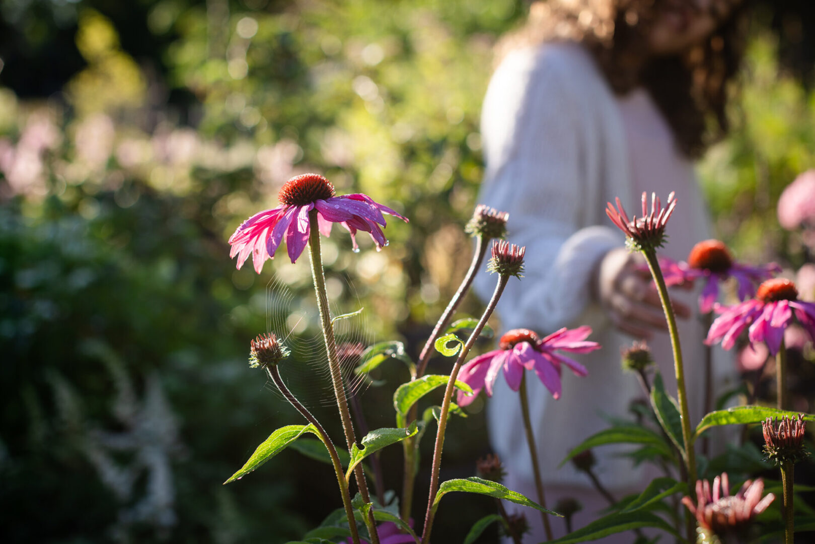 Kutsu luonto puutarhaan – näin lisäät luontoa pihaan