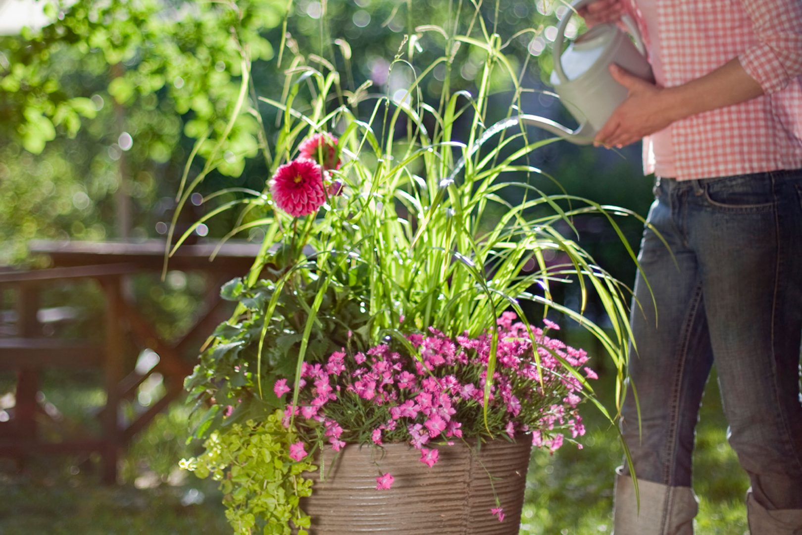 Pirskahteleva pinkki – Ideoita kesäkukkaistutuksiin