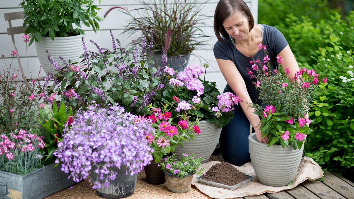 Ilmettä pihaan ja parvekkeelle kesäkukilla!