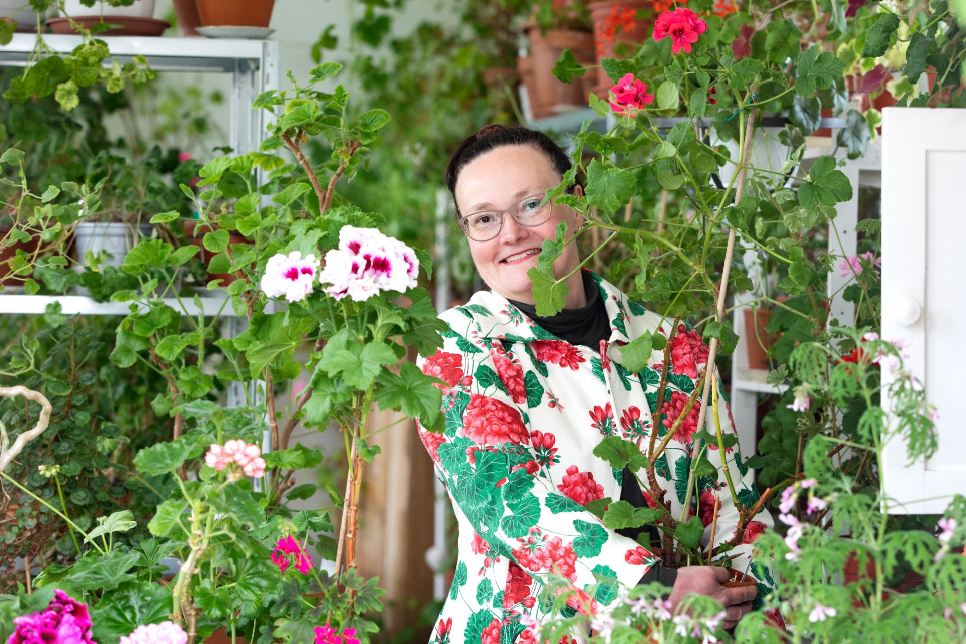 Kekkilä Pelargonimulta Auli Ketonen