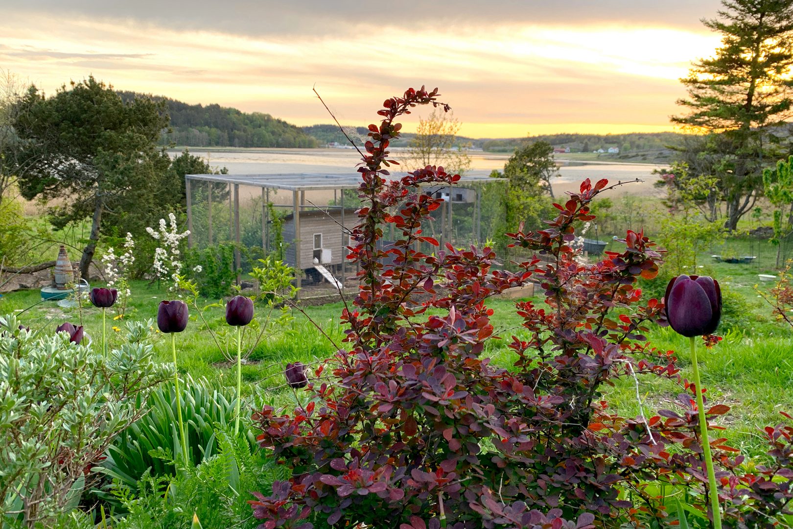 Näin luot unelmiesi kukkapenkin