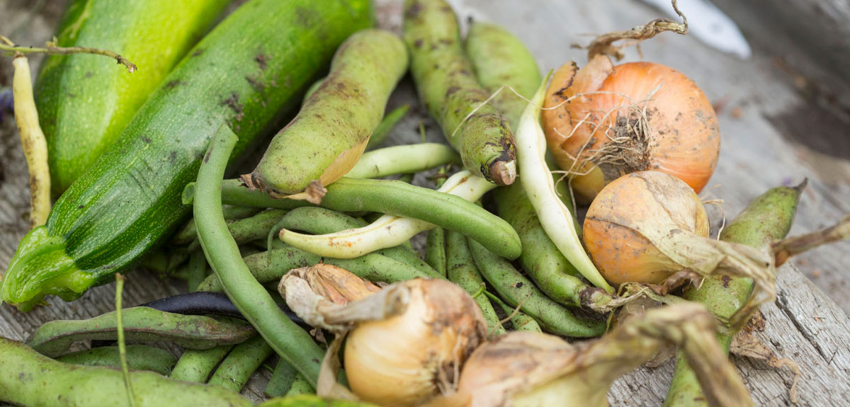 Luonnonmukainen keittiöpuutarha