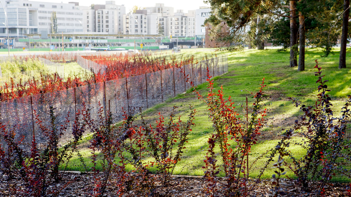 Istutusohjeet: Istutusalueiden perustus ja hoito