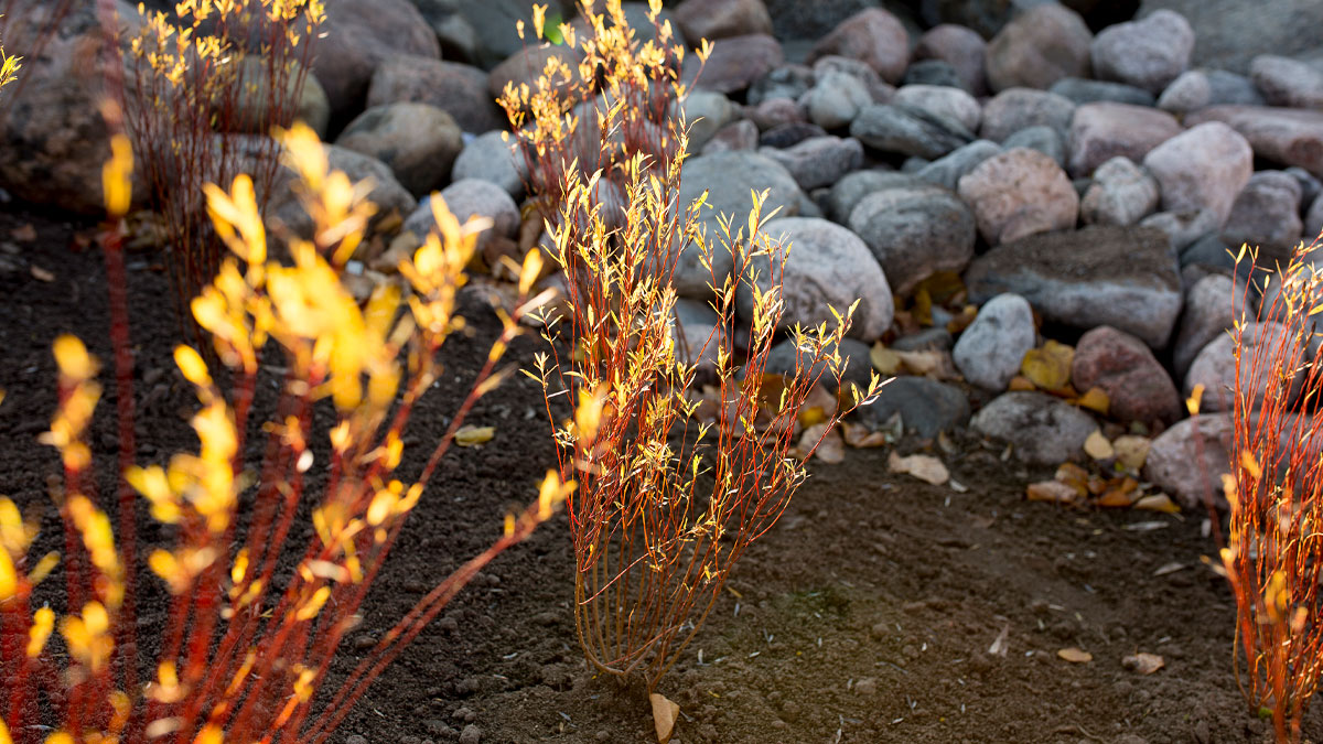 Kasvualustan ostajan opas