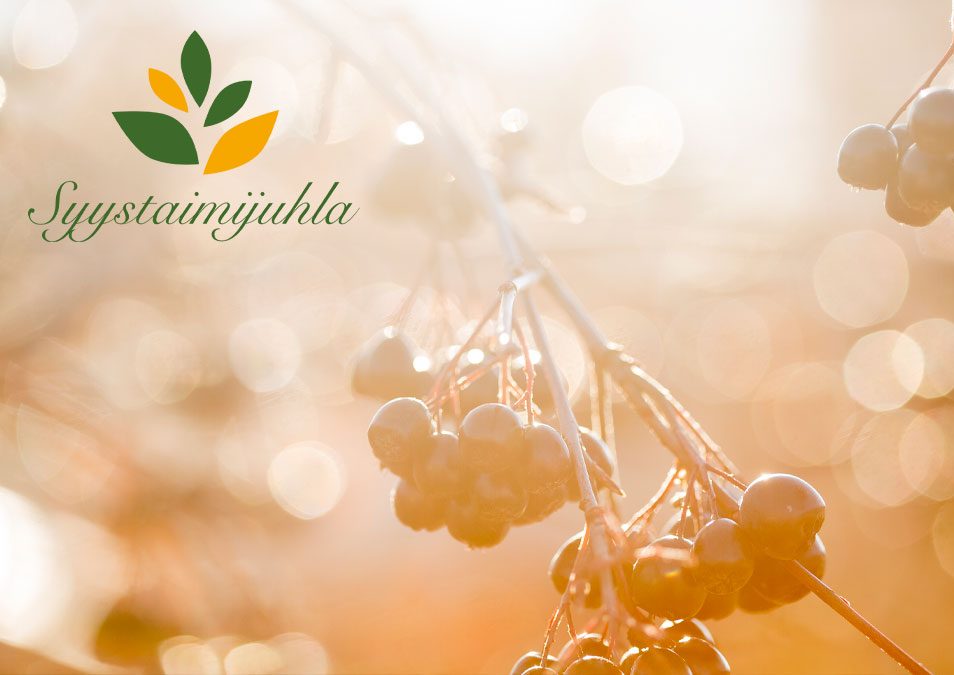 marjaoksa-logolla-banneri-1200x675px