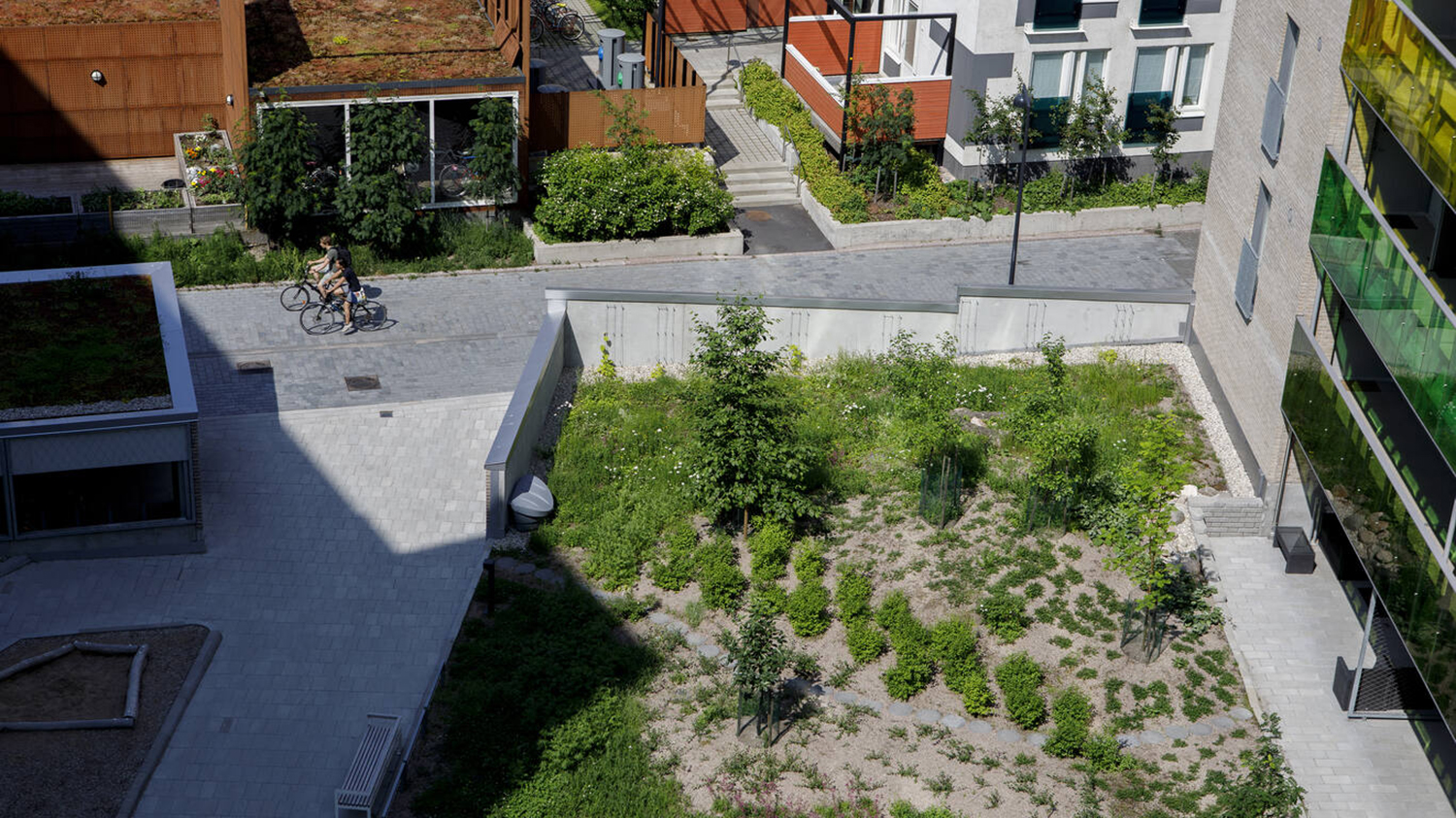 Kasvikatot ovat kaupunkien keuhkot 