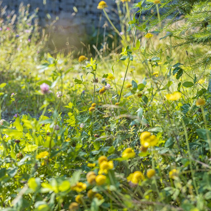 Kekkilä Niittymulta PLUS tuoreille niityille