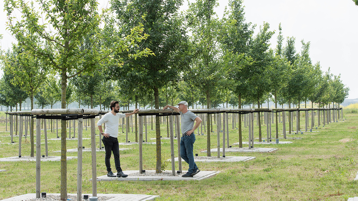 Kekkilä-BVB suunnittelijan avainkumppani