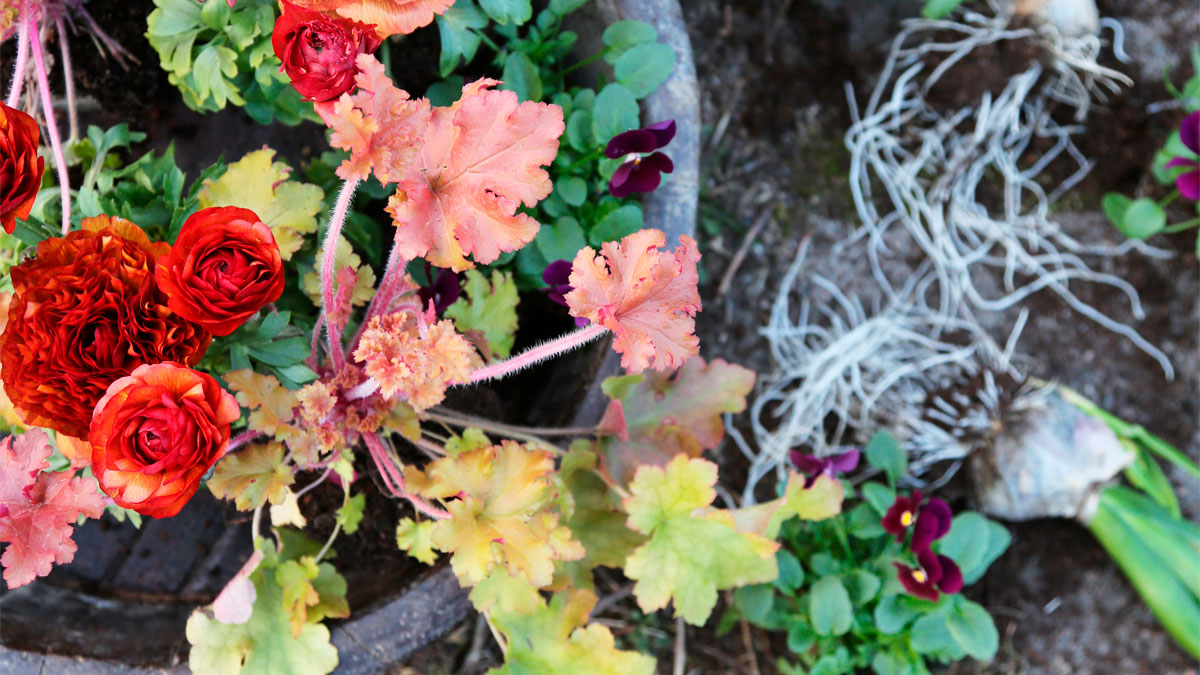 Kukkailoa kestävillä kevätistutuksilla