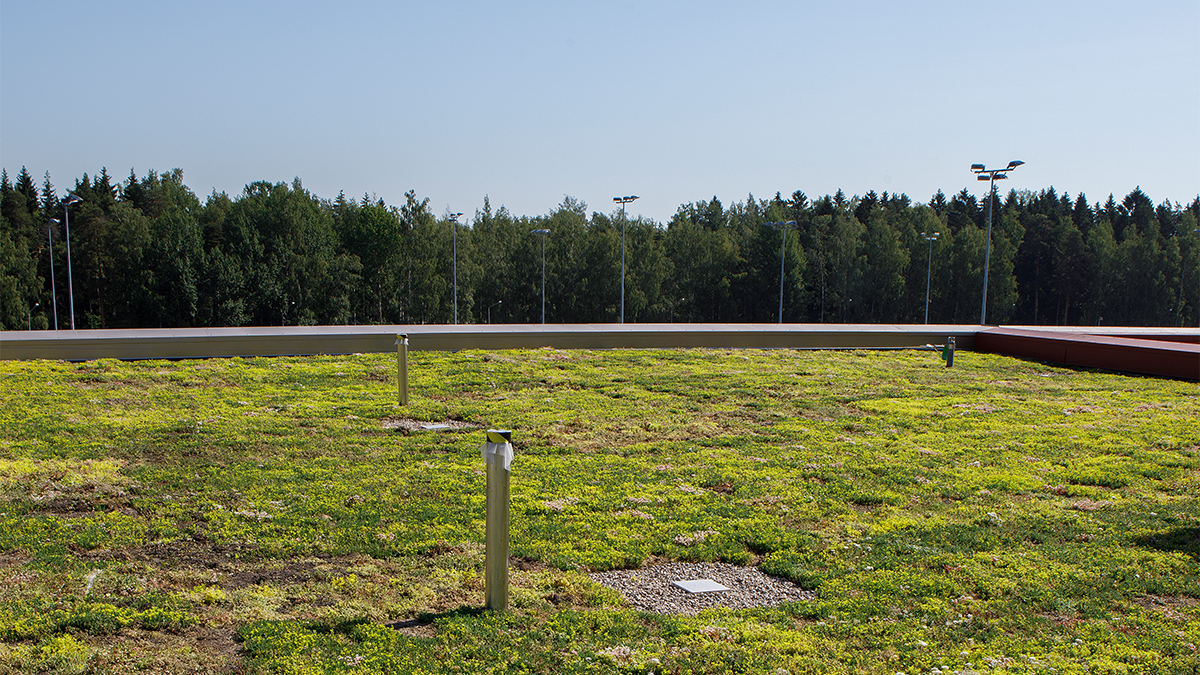 Viherkatto kruunaa Jakomäen Sydämen