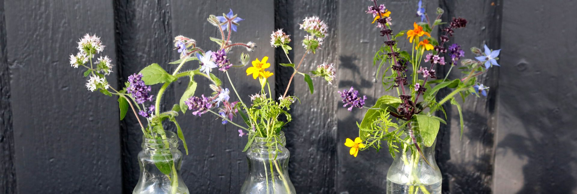 Syötäviä kesäkukkia – kauneutta ja makua