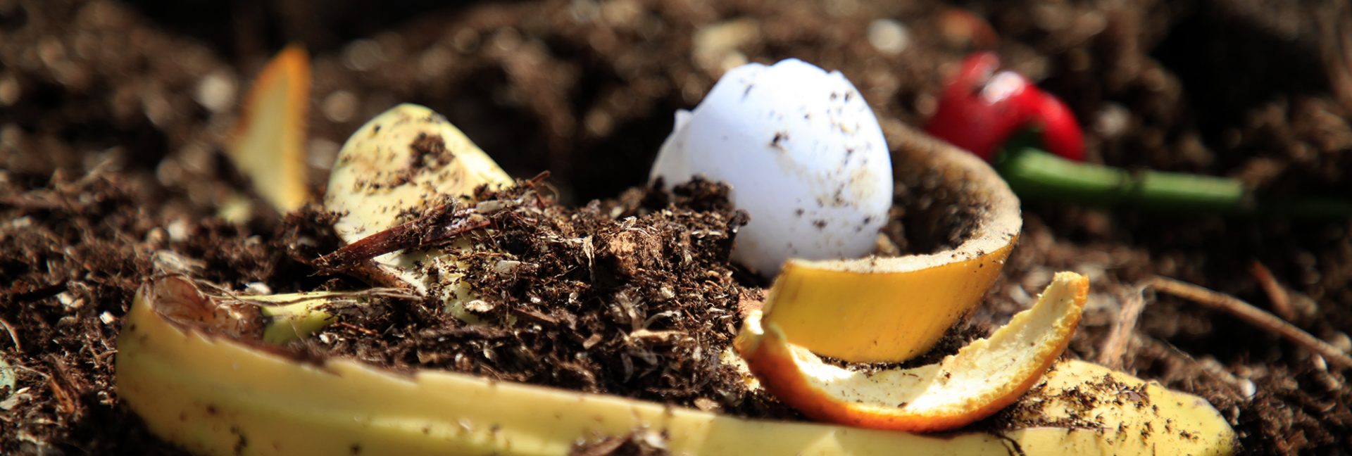 Kompostoi talous- ja kasvijäte mullaksi