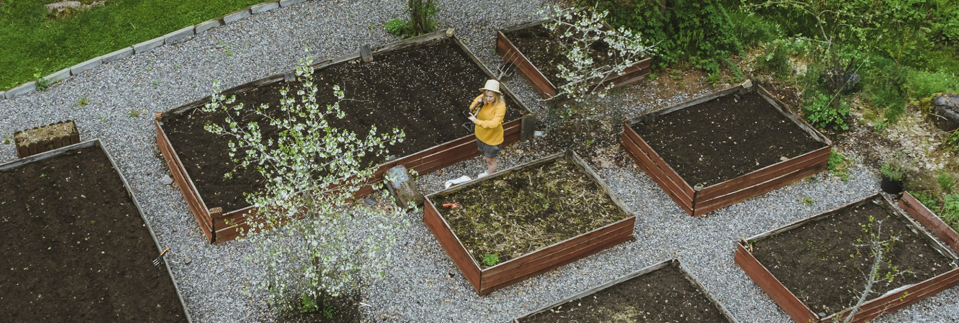 Kasvimaaprojekti – mitä kasvatan tänä vuonna?