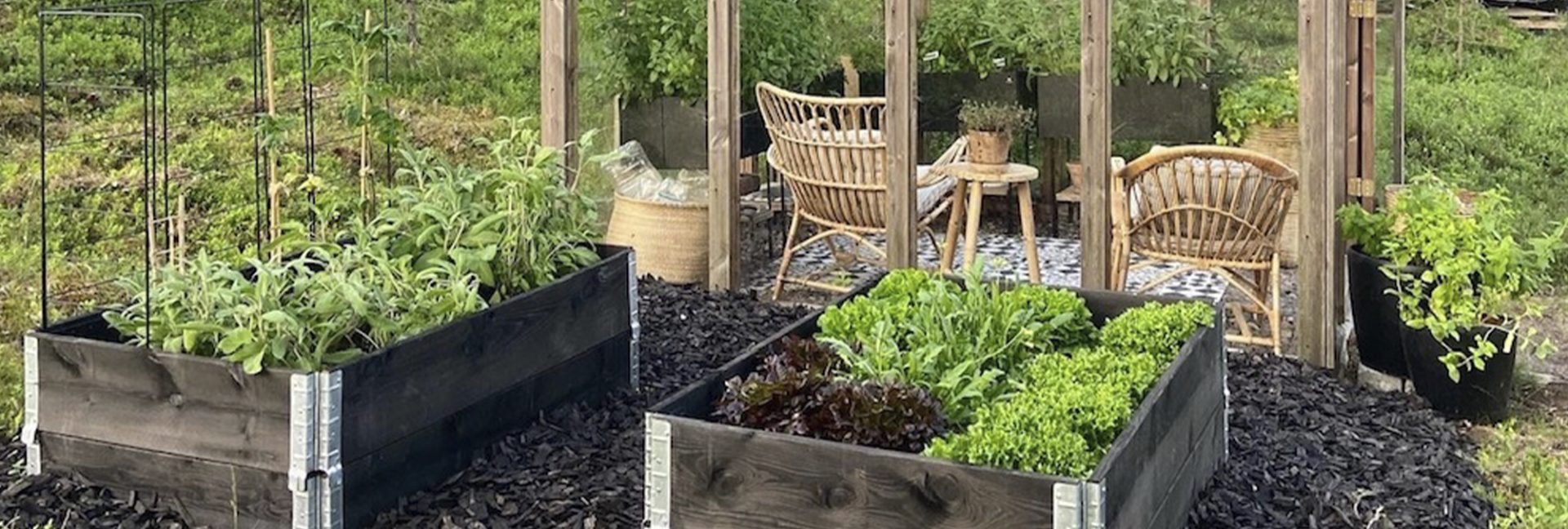 Hyötykasvitarha tuo lisää kasvatustilaa