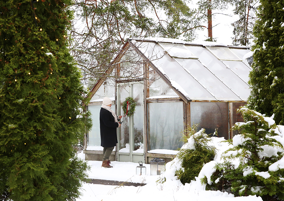 Joulukranssi havukranssi puutarhasta 