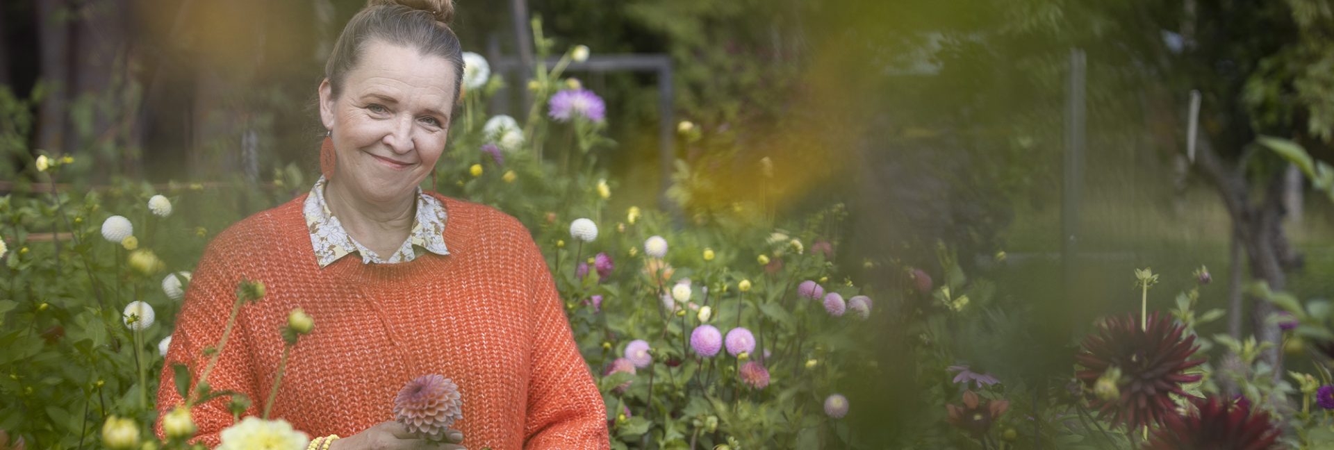 Hurmaavat daaliat – Anun kukkapalstan kuningattaret