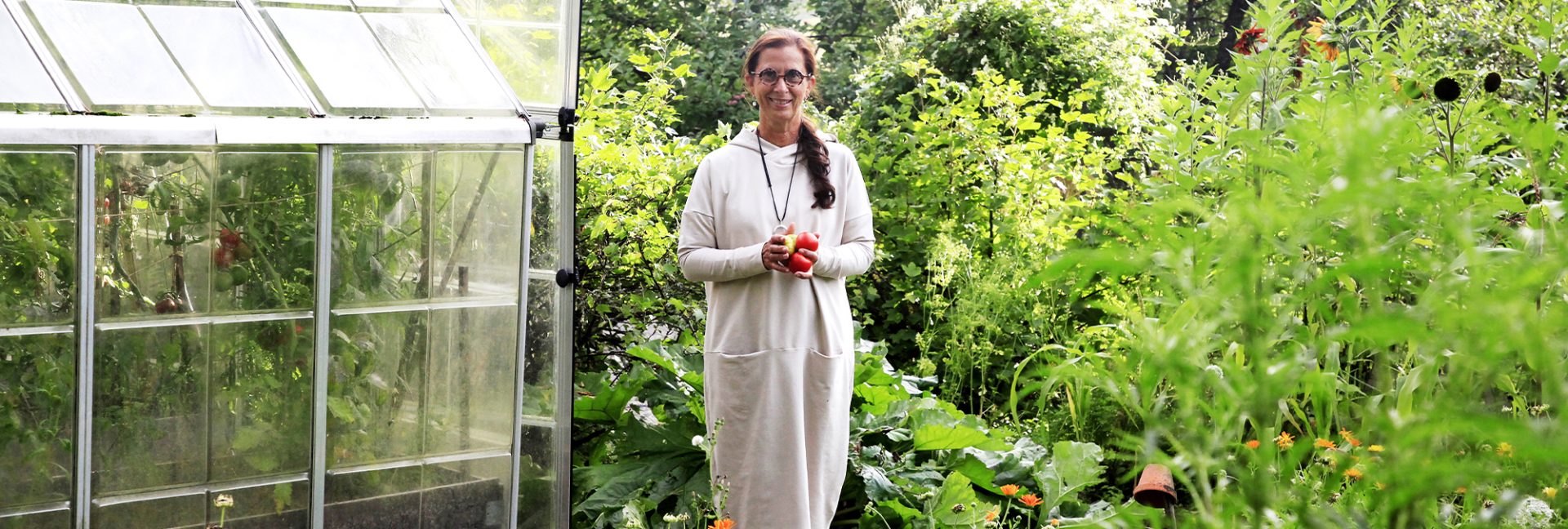 Tomaattien kasvatus kasvihuoneessa – Karinin puutarha