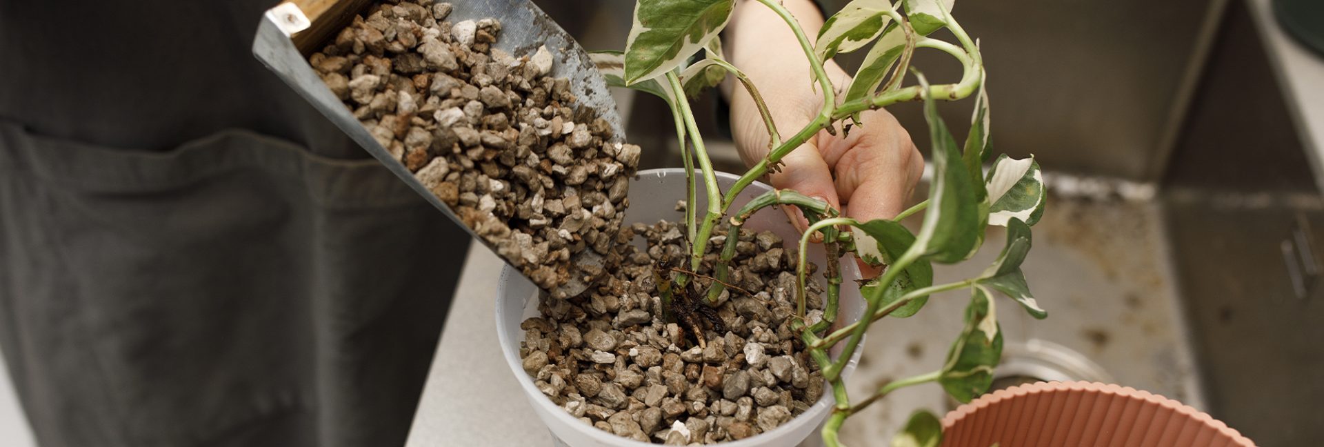 Viherkasvisora – istuttaminen ja kasvualustasekoitukset