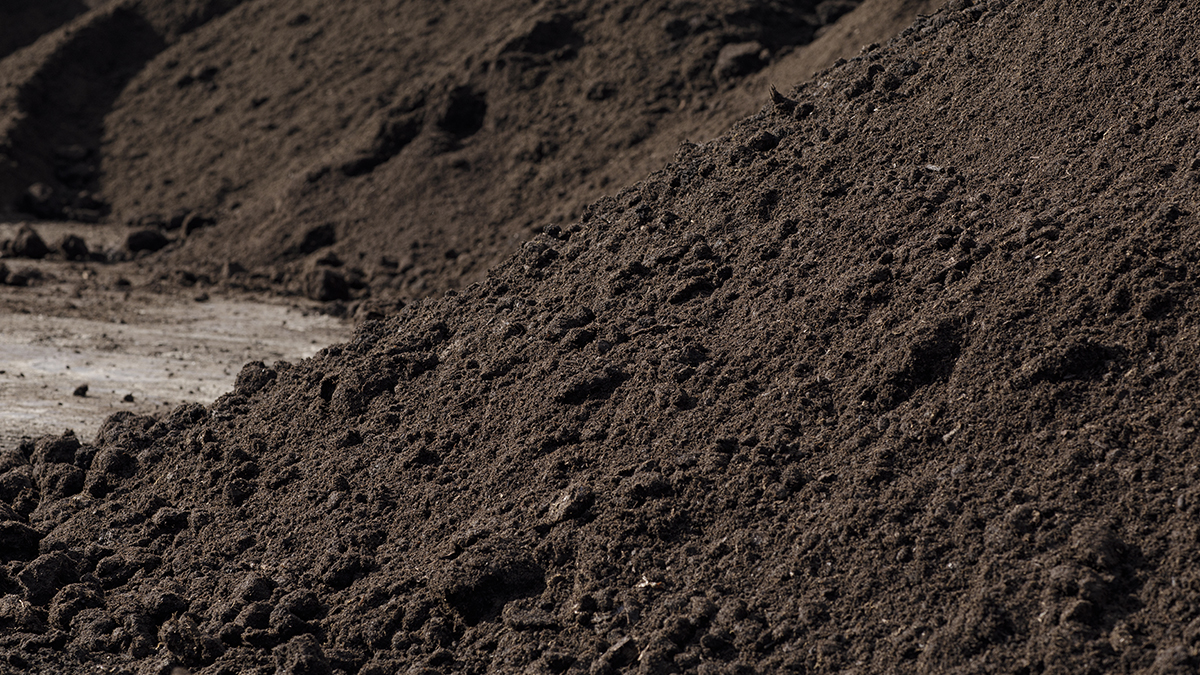 Komposti lisää kasvualustan monimuotoisuutta