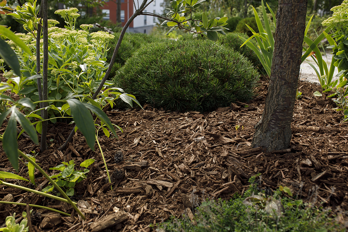 Näin siistit pihan nopeasti puutarhakatteilla