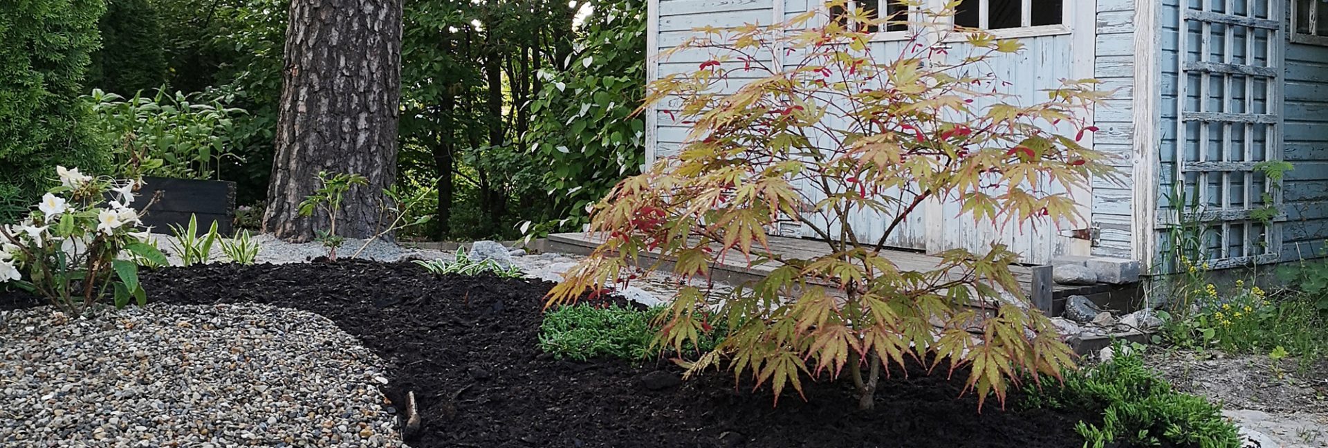 Uusi alku piharemontissa