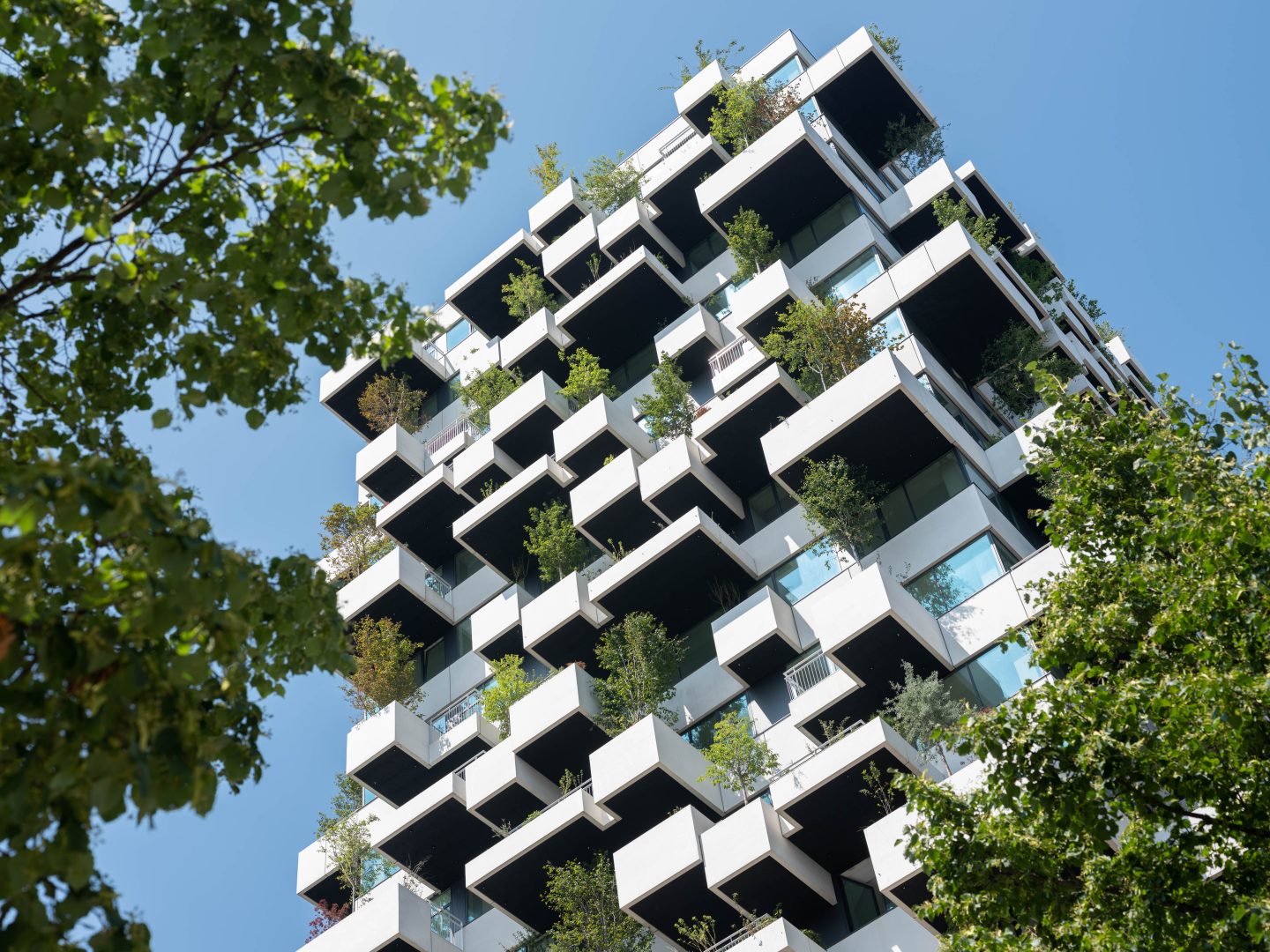 Sopiva kasvualusta, toimiva kaupunkivihreä